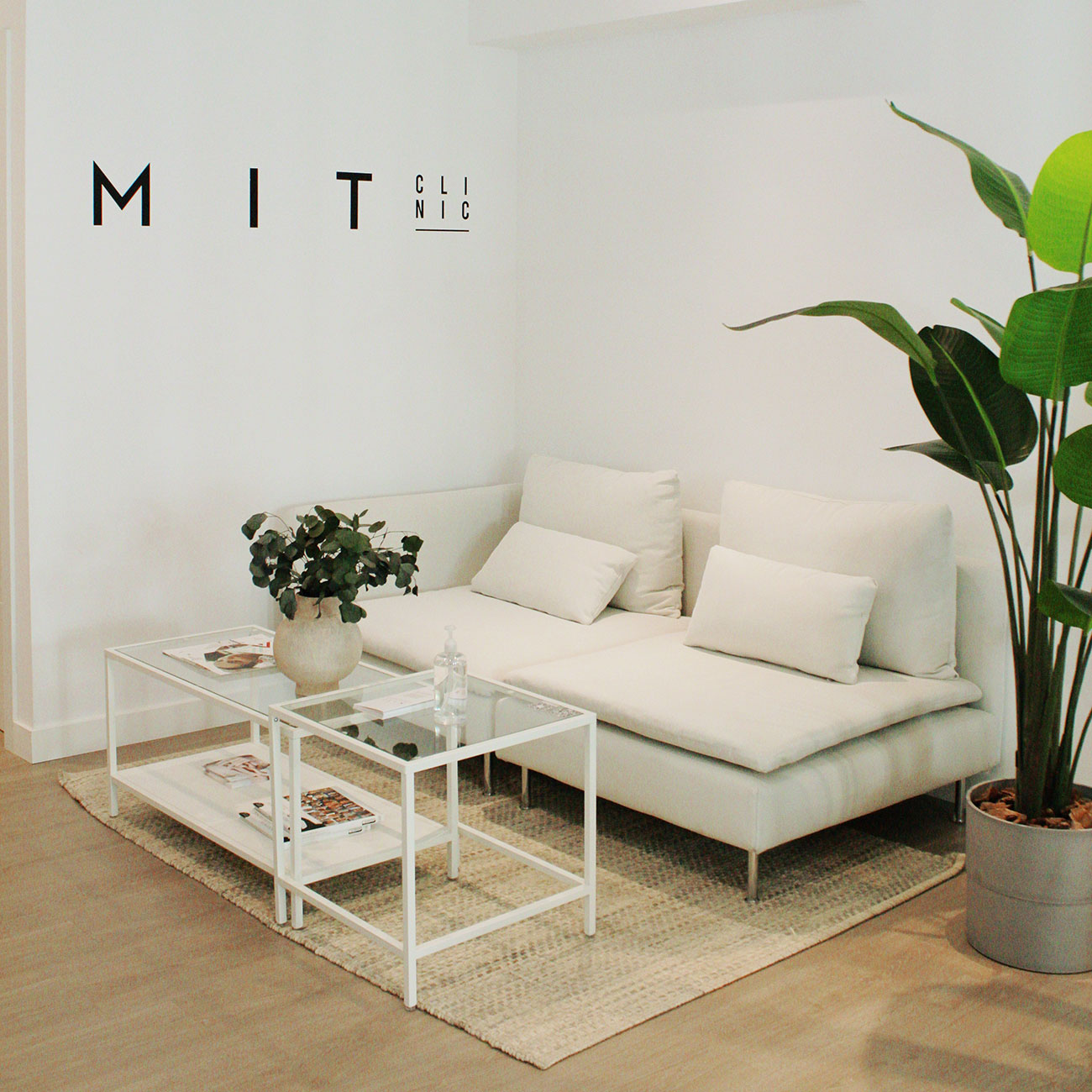 AnaRituals Miit Clinic